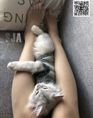 武装特警