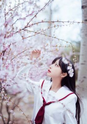 氪金玩家